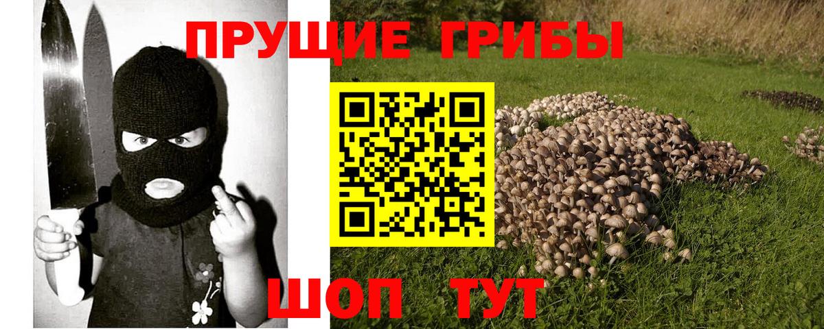 Псилоцибиновые грибы мухоморы Сургут
