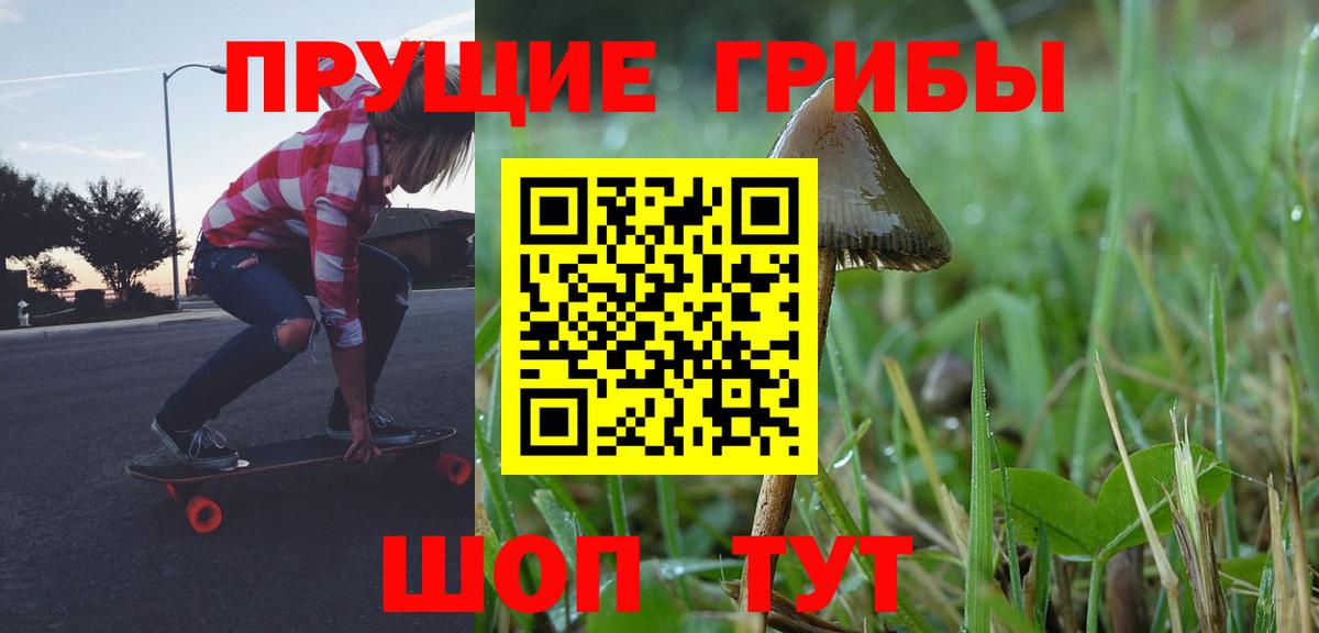 Сургут  Псилоцибиновые грибы Cubensis  Псилоцибиновые грибы ЛСД  Вход с VPN 